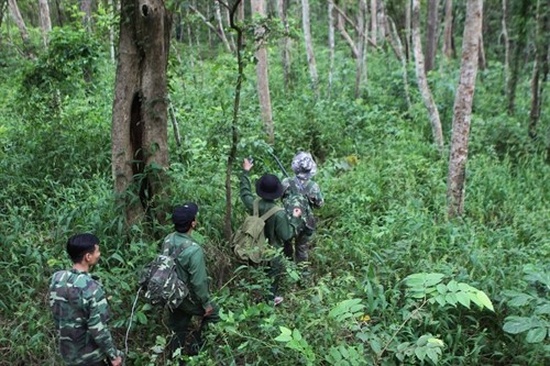 Kiểm lâm Ea Sô, Đắk Lắk tăng cường tuần tra, bảo vệ rừng