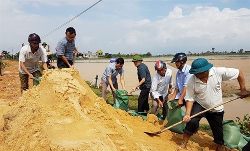 Quảng Bình: Vỡ đê tại huyện Bố Trạch