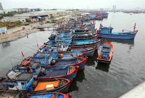 Các tỉnh, thành phố ven biển từ Quảng Ninh đến Khánh Hòa ​chủ động đối phó với diễn biến của bão Aere