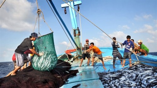 Ngư dân bám biển phát triển kinh tế