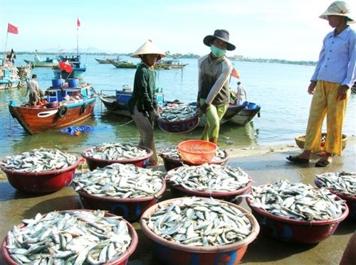 Bình Thuận chú trong khôi phục nguồn lợi thủy sản