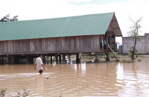 Huyện Krông Ana (Đắk Lắk) vẫn bị ngập úng nặng do mực nước các sông, suối dâng cao
