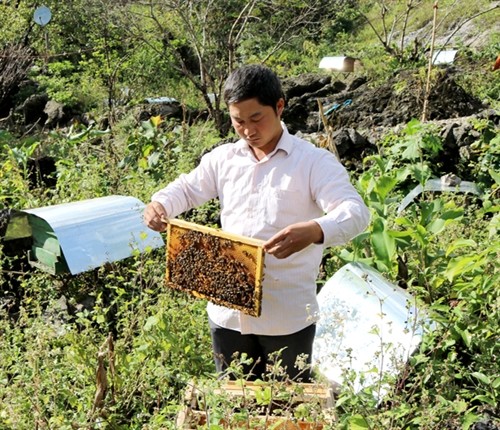 Nghề nuôi ong "trên đá" ở Hà Giang