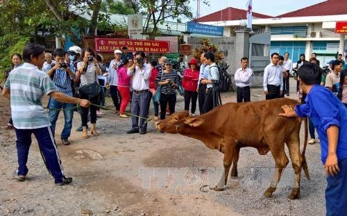 Thành phố Hồ Chí Minh: Lễ trao tặng bò giống 2016