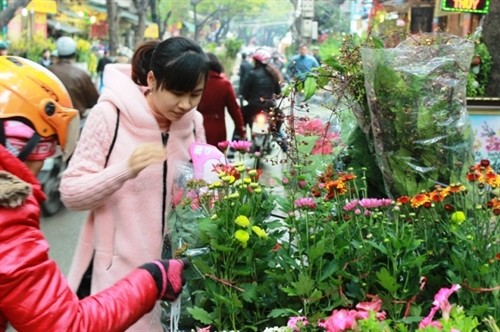 Đi chợ Bưởi xem hoa Xuân
