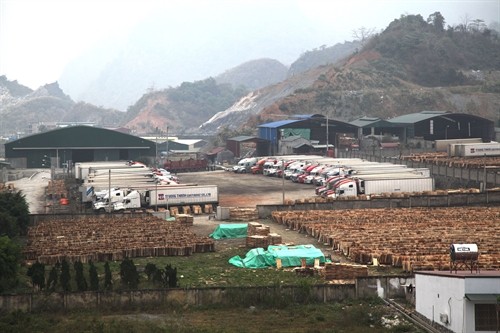 Hàng trăm xe container ùn tắc tại Cửa khẩu Quốc tế Thanh Thủy