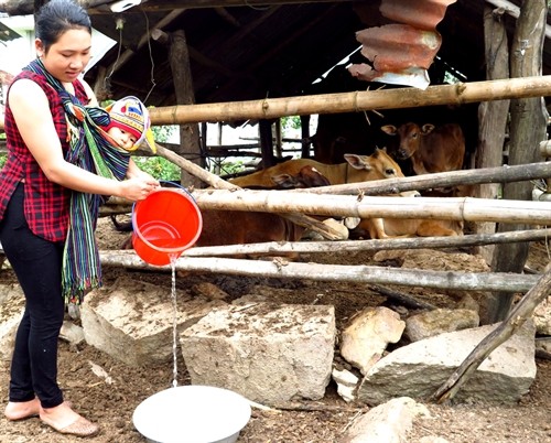 Phú Yên: Đầu tư xây dựng công trình nước sạch phục vụ đồng bào ở huyện Sông Hinh