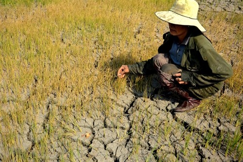 Cứu trợ khẩn cấp cho đồng bào miền Trung, Tây Nguyên, đồng bằng sông Cửu Long khắc phục hậu quả hạn hán, xâm nhập mặn