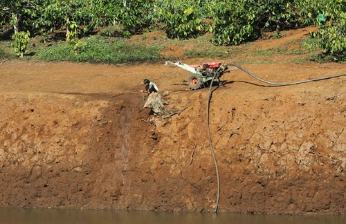 Khô hạn gây thiệt hại cho sản xuất nông nghiệp và sinh hoạt của người dân ở Đắk Lắk