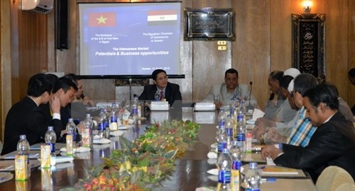 Kiến nghị miễn thị thực cho các doanh nghiệp Việt Nam và Ai Cập khi đầu tư vào mỗi nước