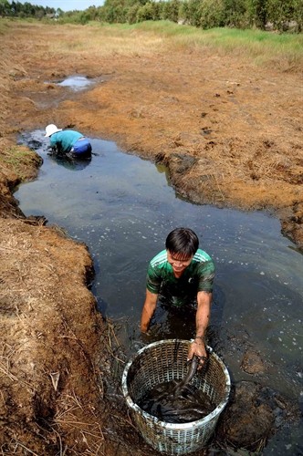 Nước mặn tấn công các khu bảo tồn ngập nước Ramsar