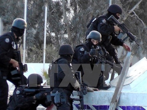 Tunisia triệt phá một mạng lưới hỗ trợ hậu cần cho IS