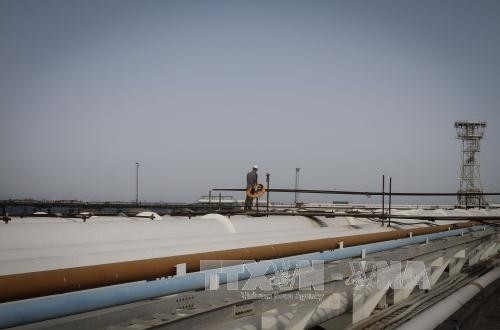 Giá dầu giảm mạnh sau khi đàm phán tại Doha không đạt kết quả