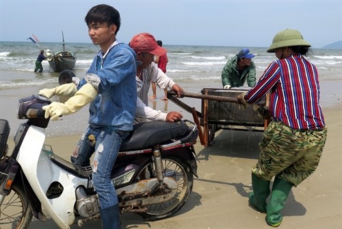 Ngư dân Hà Tĩnh ra khơi trở lại sau vụ cá chết hàng loạt