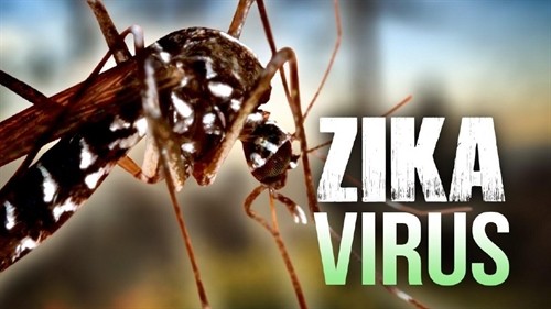 Việt Nam phát hiện 2 trường hợp đầu tiên nhiễm Zika