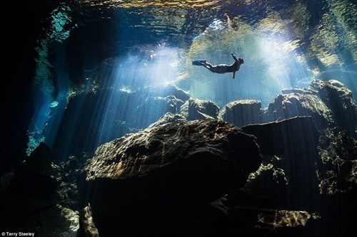 Những bức ảnh lột tả sự sống và vẻ đẹp dưới đáy biển sâu