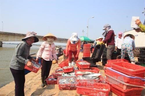 Thủ tướng chỉ đạo hỗ trợ người dân một số tỉnh miền Trung bị thiệt hại do cá chết