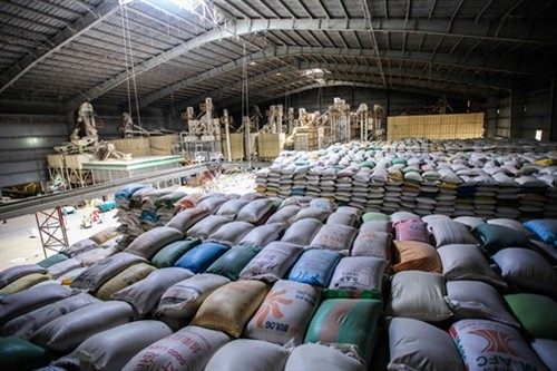 Thái Lan xả kho, thị trường xuất khẩu gạo của Việt Nam sẽ ra sao?