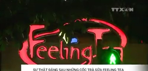 Sự thật đằng sau những cốc trà sữa Feeling Tea