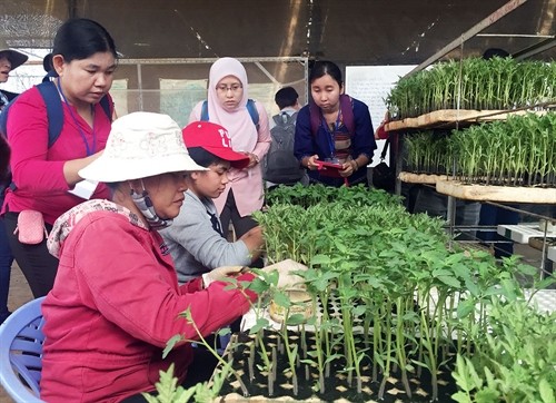 Các nước ASEAN nghiên cứu chuỗi liên kết sản xuất rau an toàn tại Lâm Đồng