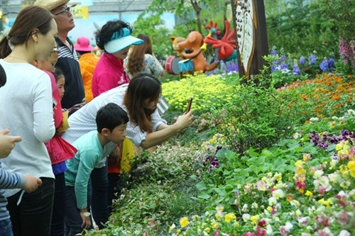 Lễ hội bướm Hampyeong thu hút du khách nhí