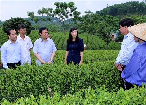 Phó Thủ tướng Vương Đình Huệ làm việc tại tỉnh Tuyên Quang 