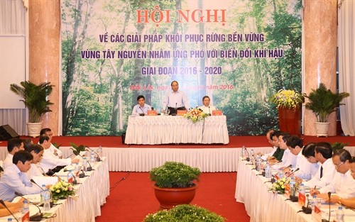Thủ tướng Nguyễn Xuân Phúc: Làm rõ trách nhiệm, tránh tình trạng “cha chung không ai khóc” trong quản lý, bảo vệ và phát triển rừng