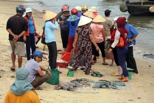 Tình hình tại Quảng Trị sau khi công bố nguyên nhân cá chết