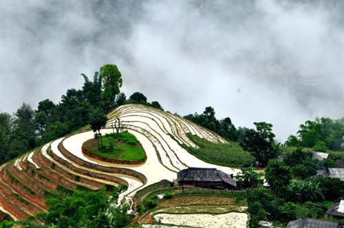Vẻ đẹp ruộng bậc thang ở Hà Giang
