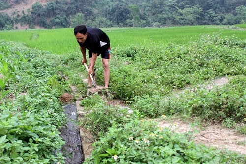 Tuyên Quang: Xã đặc biệt khó khăn Hùng Lợi phát huy hiệu quả nguồn vốn 135