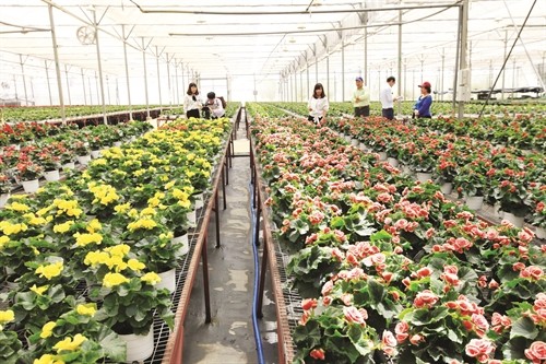 Lâm Đồng đẩy mạnh đào tạo nhân lực nông nghiệp công nghệ cao