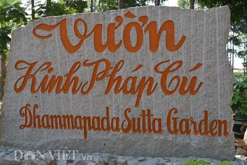 Vĩnh Long: Chiêm ngưỡng vườn kinh bằng đá độc đáo nhất Việt Nam