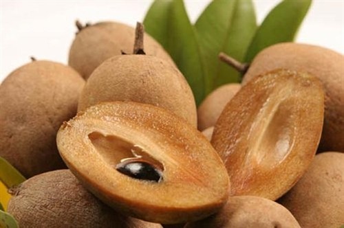 Đặc sản trái cây Sapoche Mặc Bắc