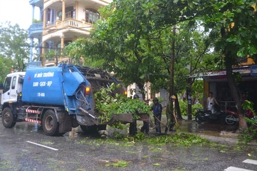 Thái Bình: cây đổ la liệt sau bão số 1