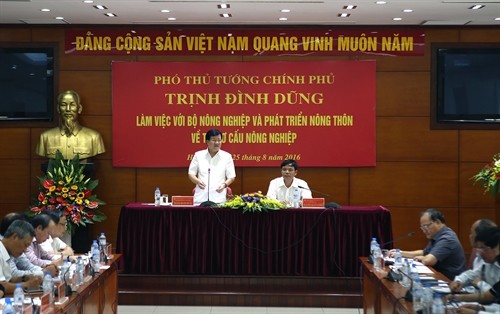 Phó Thủ tướng Trịnh Đình Dũng làm việc với Bộ Nông nghiệp và Phát triển nông thôn về tái cơ cấu nông nghiệp