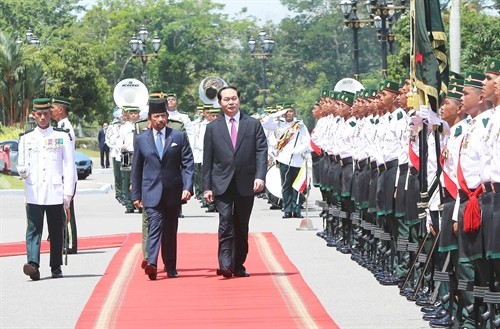 Chủ tịch nước Trần Đại Quang hội kiến, hội đàm với Quốc vương Brunei Darussalam