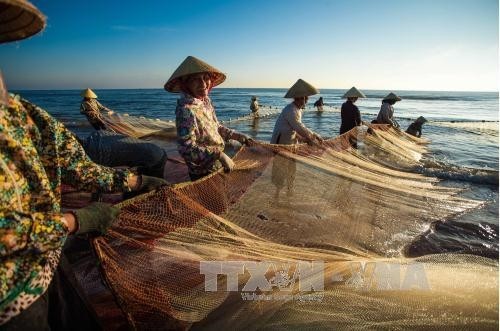 Kéo rùng - nghề truyền thống độc đáo của ngư dân xứ Thanh
