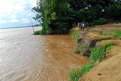 Sạt lở nghiêm trọng bờ sông đe dọa nhiều hộ dân ở Đồng Tháp