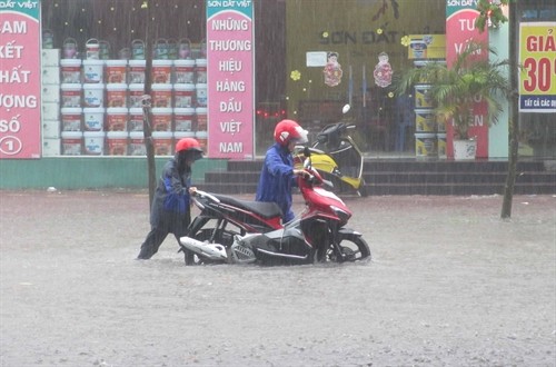 Các tỉnh từ Nghệ An đến Quảng Nam có mưa, có nơi mưa rất to