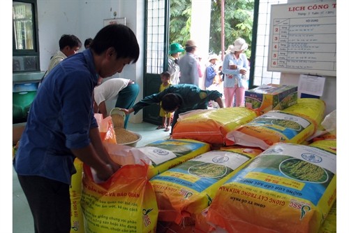 Tổ chức Nông lương thế giới hỗ trợ giống, vật tư cho người dân vùng hạn ở Ninh Thuận
