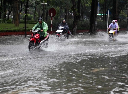 Từ Thanh Hóa đến Hà Tĩnh tiếp tục có mưa to
