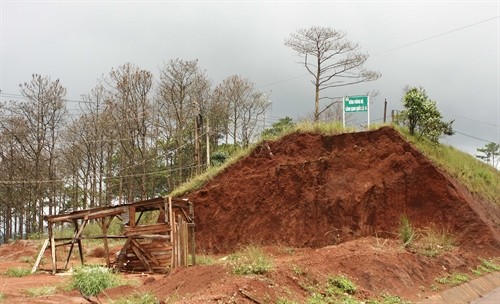 Đắk Nông: hàng ngàn héc ta rừng phòng hộ cảnh quan Quốc lộ 14 bị tàn phá