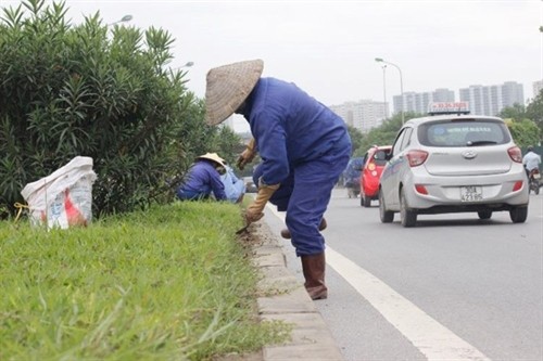 Hà Nội cắt giảm 708 tỷ đồng duy trì cây xanh