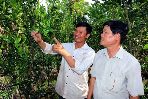 Vĩnh Long: Gương nông dân làm kinh tế giỏi