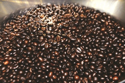 Đắk Nông: Liên kết sản xuất cà phê theo hướng bền vững