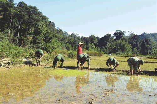 Bộ đội biên phòng Tây Giang giúp dân xây dựng nông thôn mới