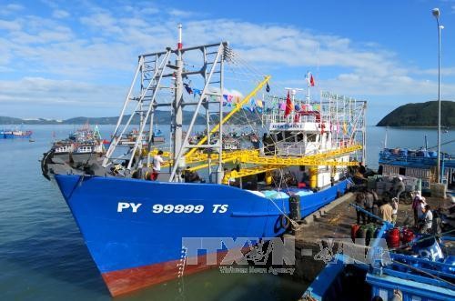Phú Yên gỡ vướng cho ngư dân theo Nghị định 67 của Chính phủ