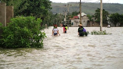 遭洪水袭击河内市数千公顷农作物被淹 清化省14人死亡
