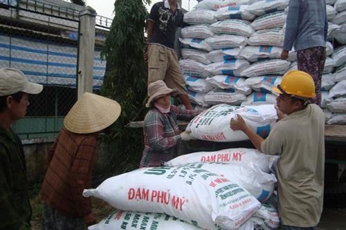 每年越南肥料出口量约达800万吨