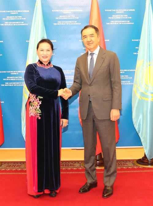 国会主席阮氏金银礼节性拜会哈萨克斯坦总理萨金塔耶夫